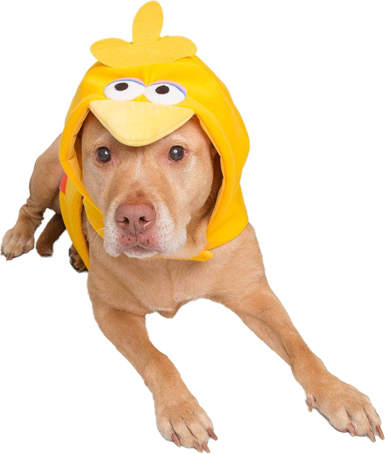 Adorable Big Bird Hoodie Costume for Dogs & Cats - Perfect for Halloween, Christmas, Parties & Photoshoots! Ideal Gift for Pet Lovers!