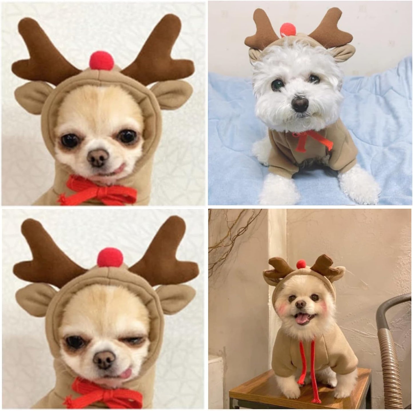 Cozy Elk Fruit Hoodie for Dogs - Stylish Cold Weather Sweatshirt for Small to Medium Pets