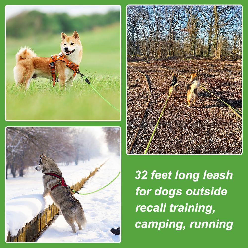 32Ft Reflective Floating Dog Leash - Ideal for Swimming, Hiking, Camping & Beach Adventures (Green)