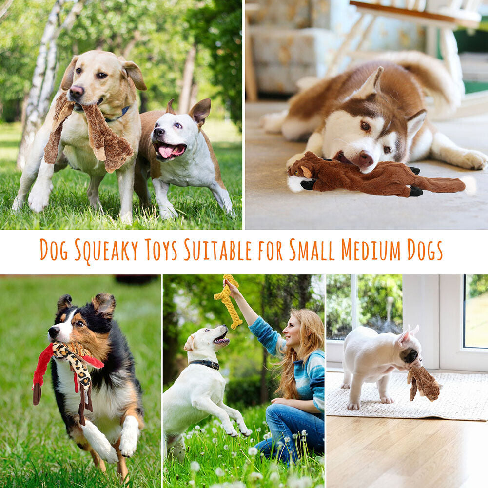 Ultimate 5-Pack Dog Squeaky Toys - Durable Plush Chew Toys with No Stuffing