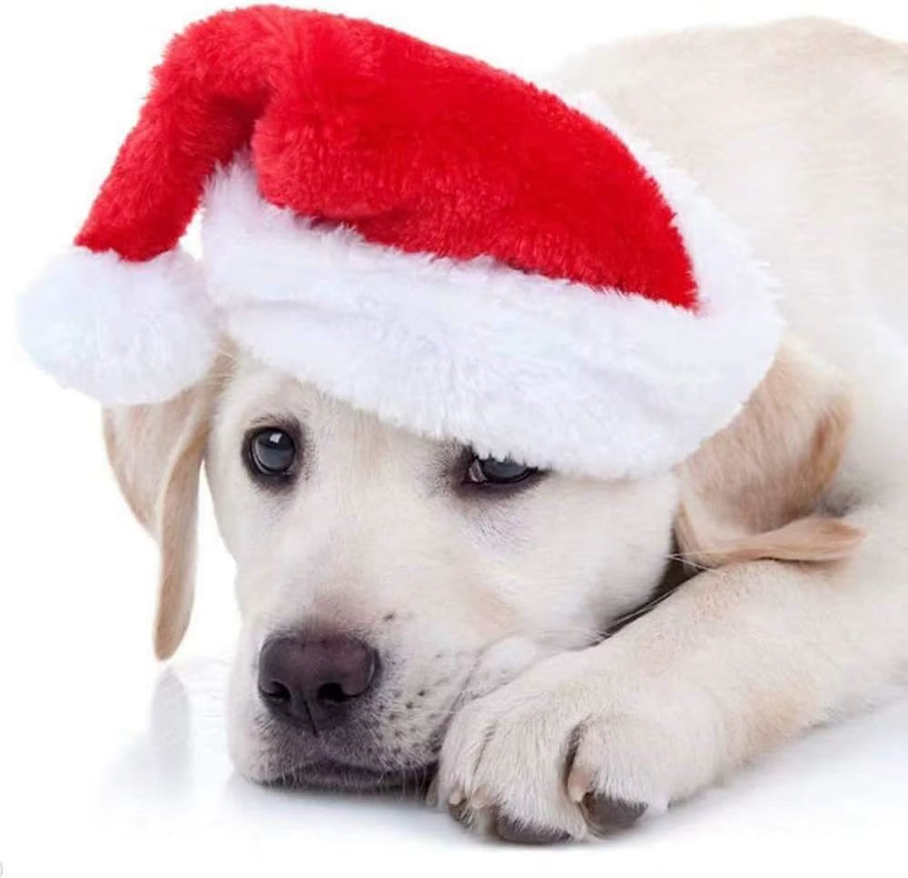 Festive Santa Hat for Pets - Perfect Christmas Costume & Decoration for Cats and Dogs!