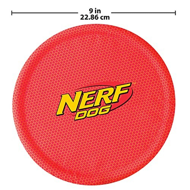 Nerf Dog Nylon Flyer Frisbee - Lightweight, Durable & Water-Resistant Dog Toy