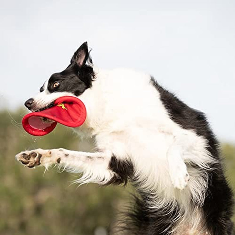 Nerf Dog Nylon Flyer Frisbee - Lightweight, Durable & Water-Resistant Dog Toy