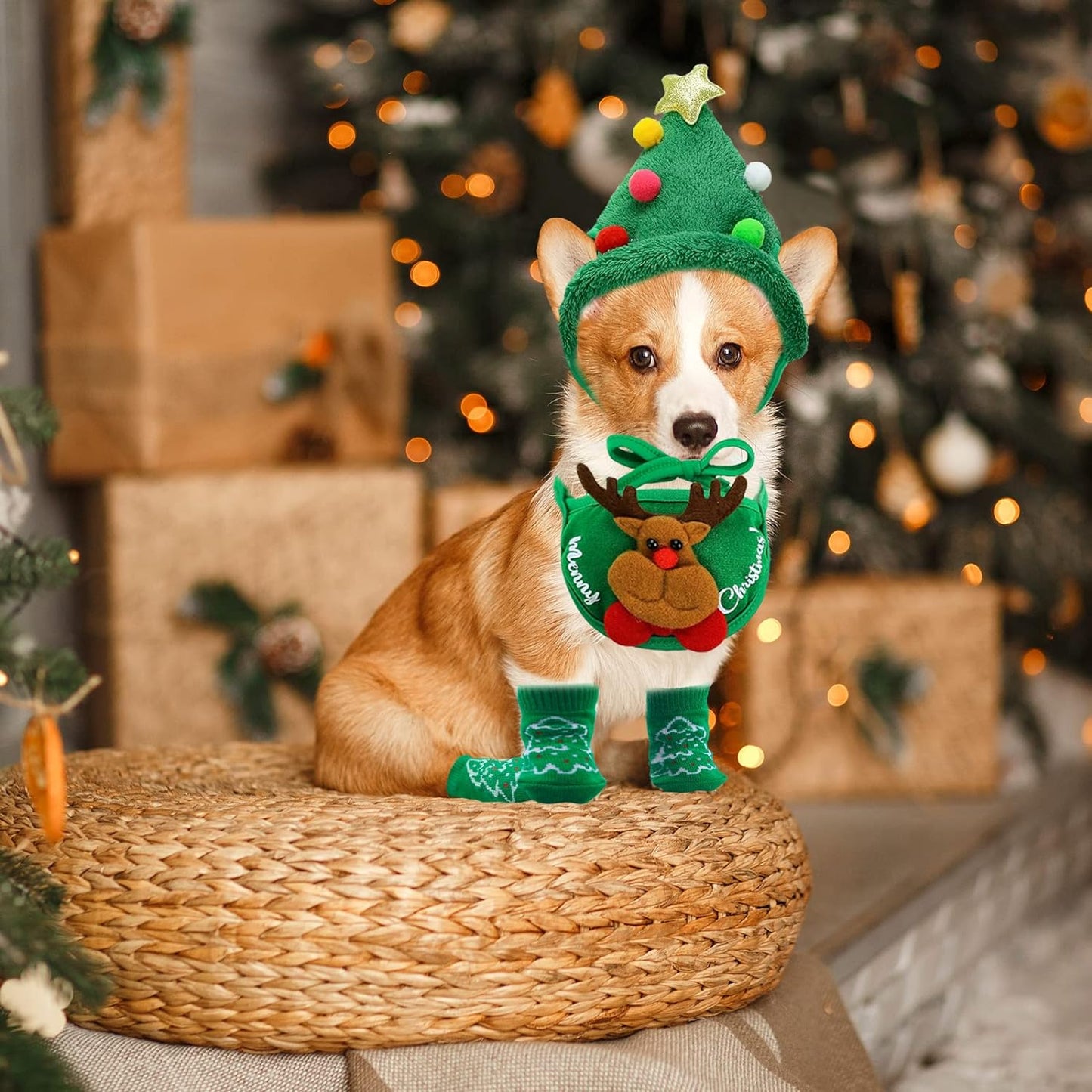 Festive Pet Christmas Costume Set - Reindeer Hats, Anti-Slip Socks & Bandanas for Small to Medium Dogs & Cats (Green, XL)