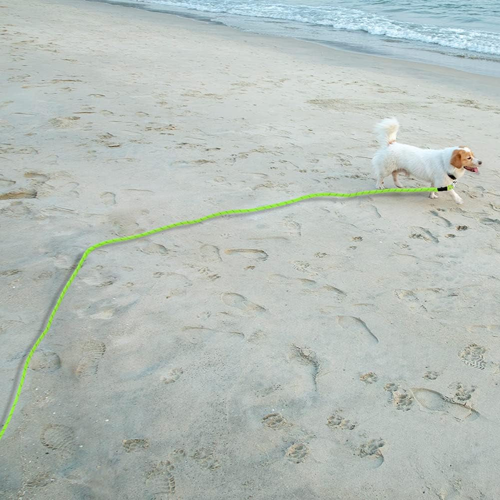 32Ft Reflective Floating Dog Leash - Ideal for Swimming, Hiking, Camping & Beach Adventures (Green)