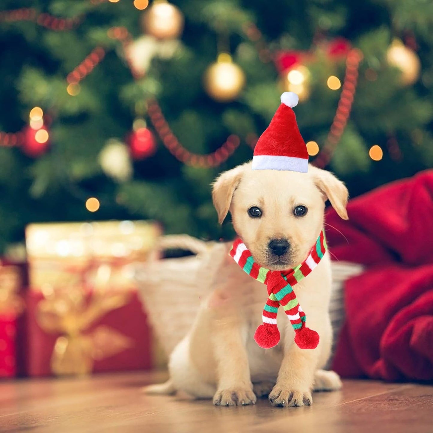 Adorable 4-Piece Christmas Pet Accessory Set - Stylish Dog Scarves & Santa Hats for Dogs and Cats (M-Scarf + Hat)