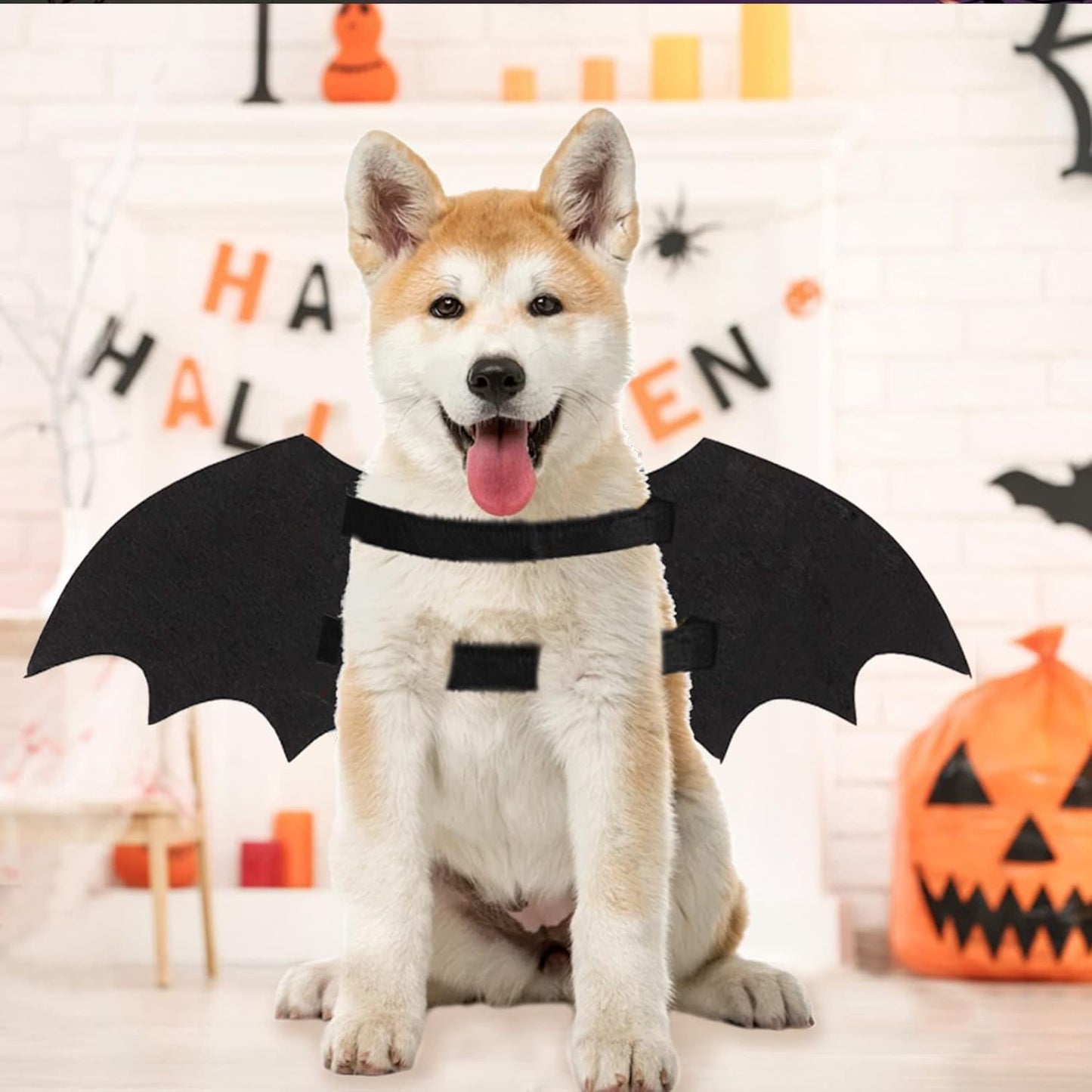 Luminous Skeleton Bone Bat Wings Halloween Costumes for Dogs and Cats - Perfect Dress-Up Apparel for Kittens and Puppies