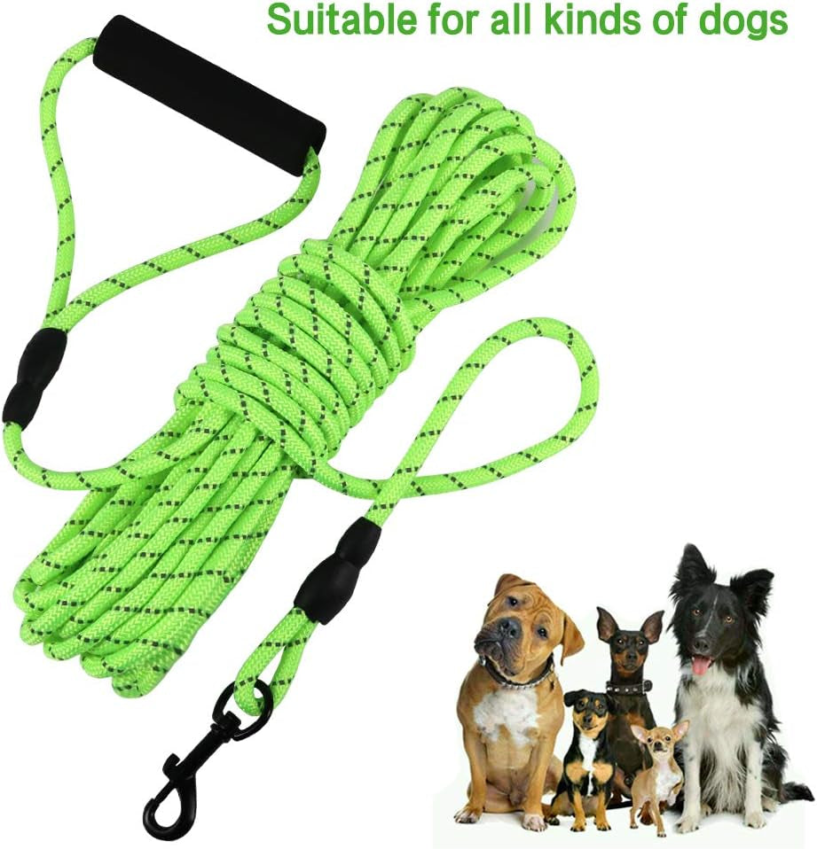 32Ft Reflective Floating Dog Leash - Ideal for Swimming, Hiking, Camping & Beach Adventures (Green)
