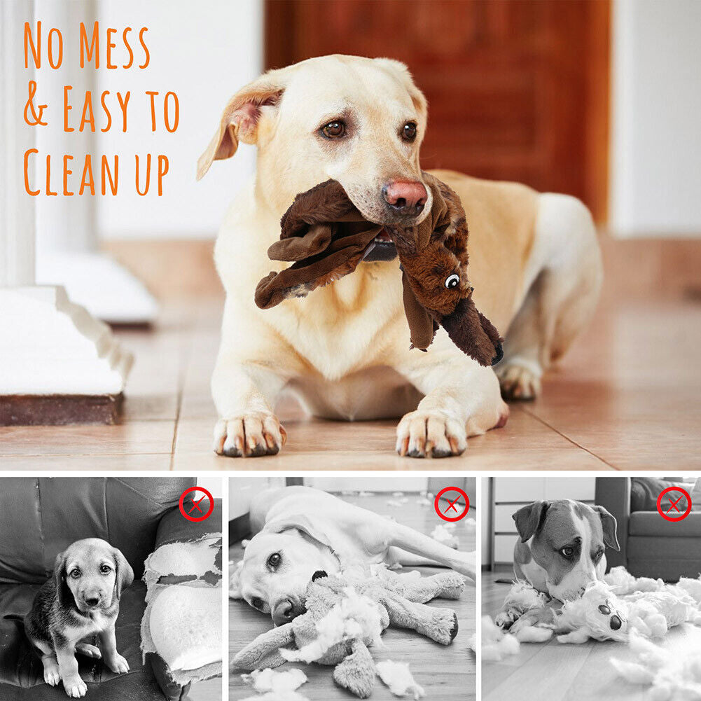 Ultimate 5-Pack Dog Squeaky Toys - Durable Plush Chew Toys with No Stuffing