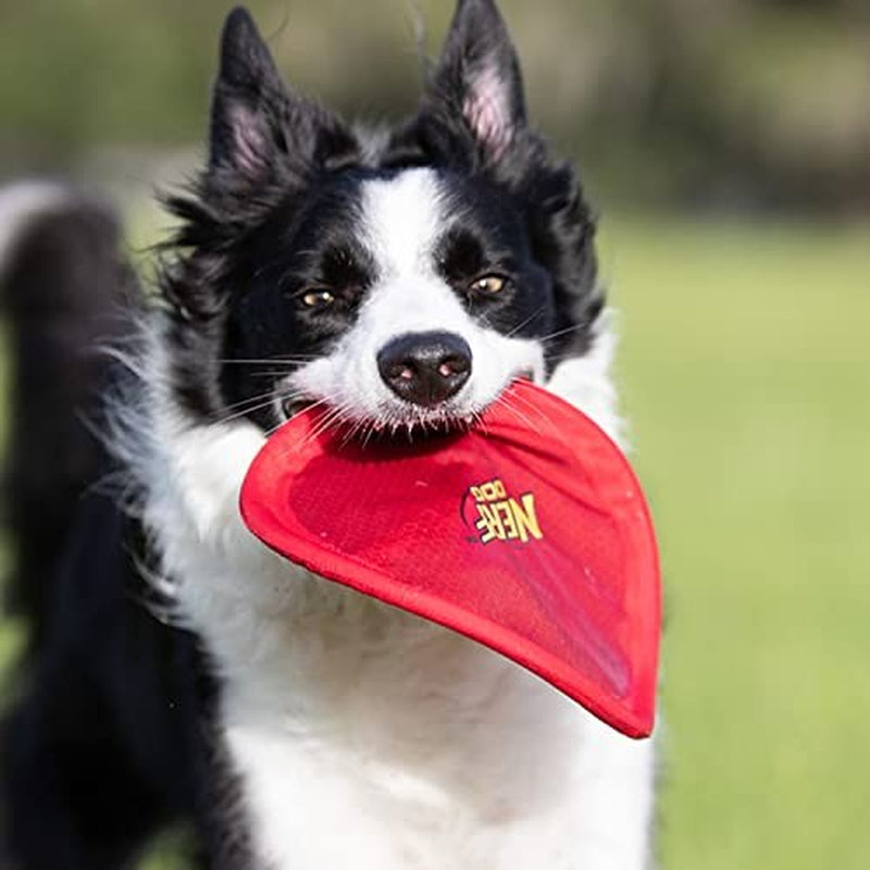 Nerf Dog Nylon Flyer Frisbee - Lightweight, Durable & Water-Resistant Dog Toy