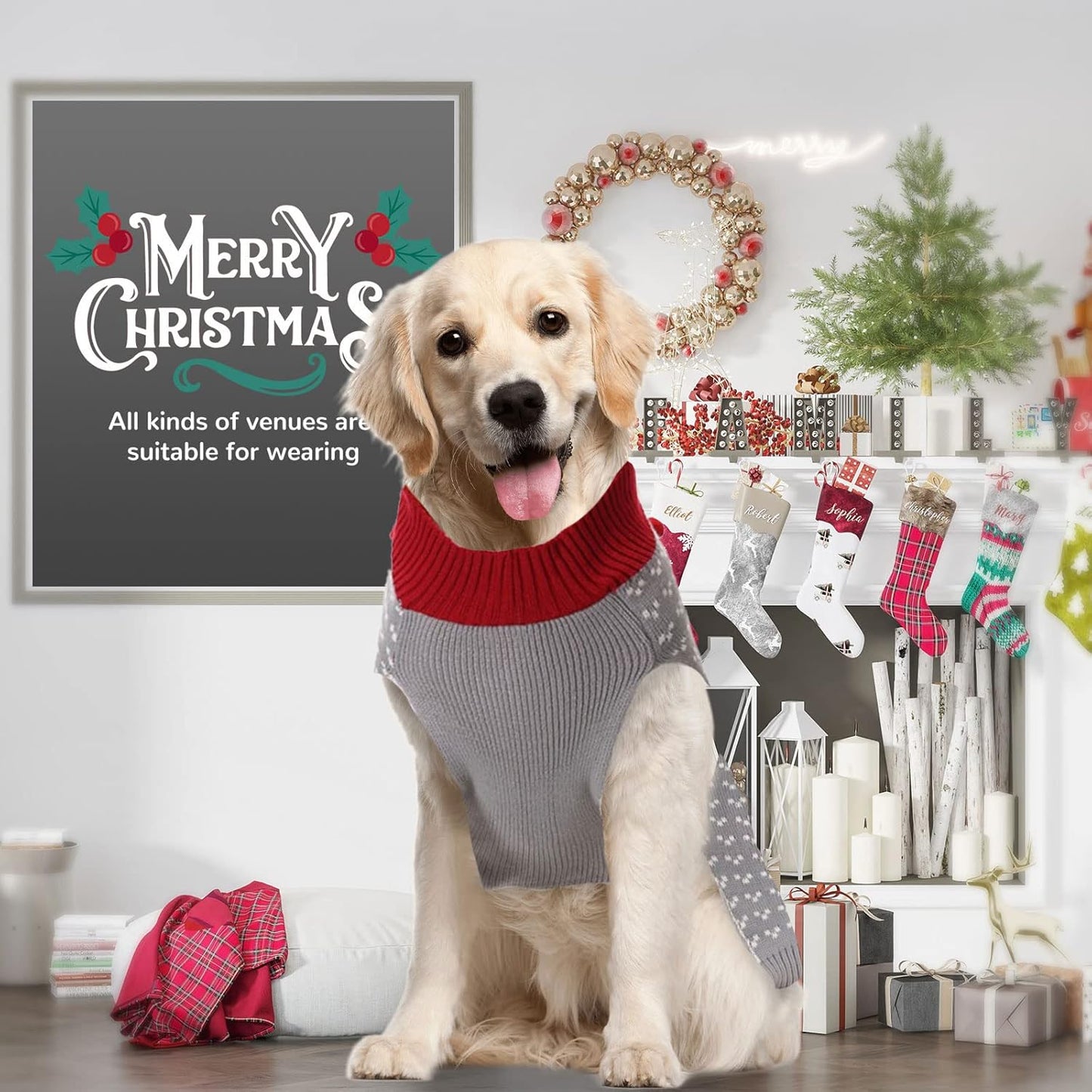 Festive Ugly Elf Clown Dog Sweater - Holiday Jumper for Small to Large Dogs & Cats - Perfect Xmas Outfit!