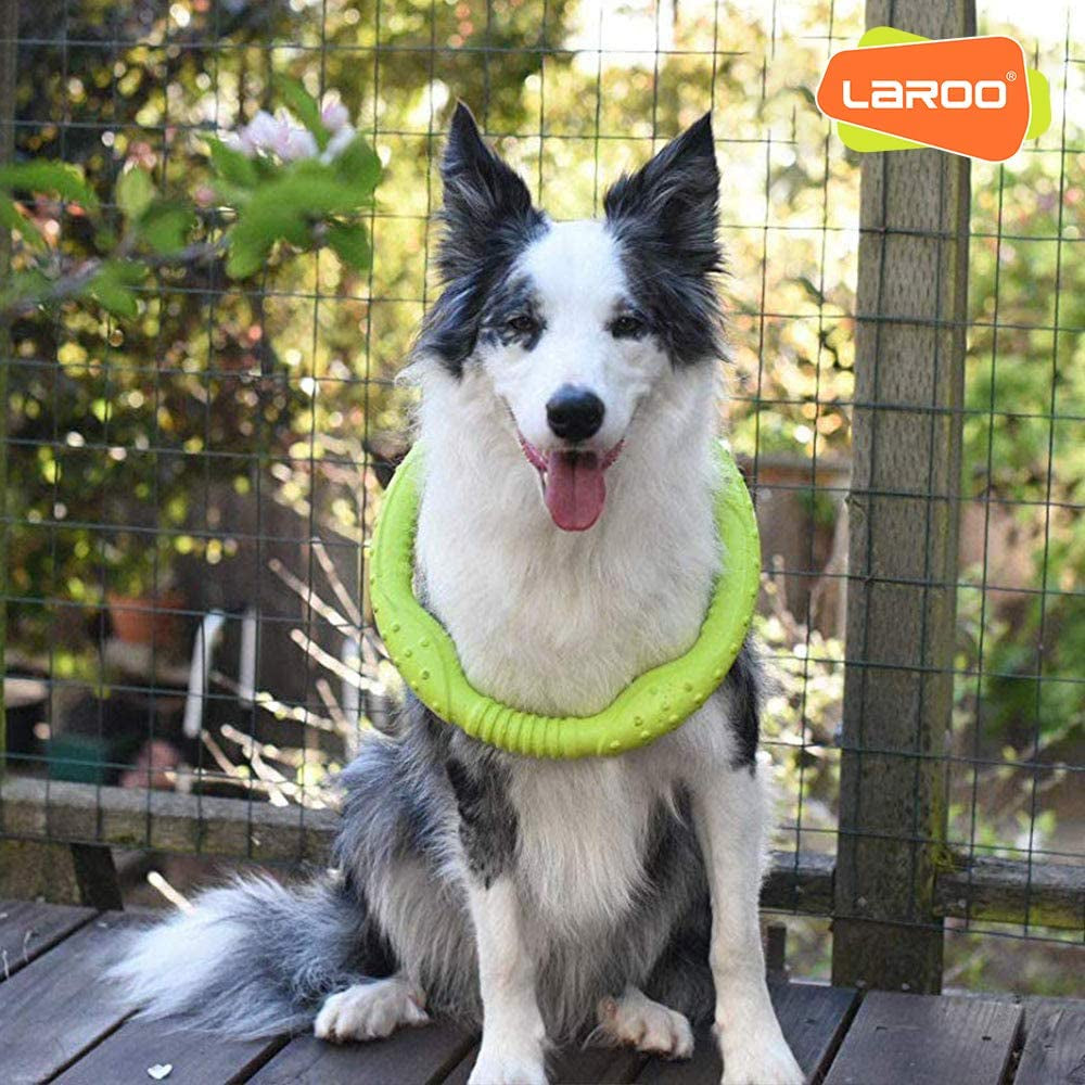 Durable Dog Flying Ring - Tough Chew-Proof Frisbee for Fetch, Water Play & Training | Lightweight Design for Medium/Large Aggressive Chewers (Green, 30cm)