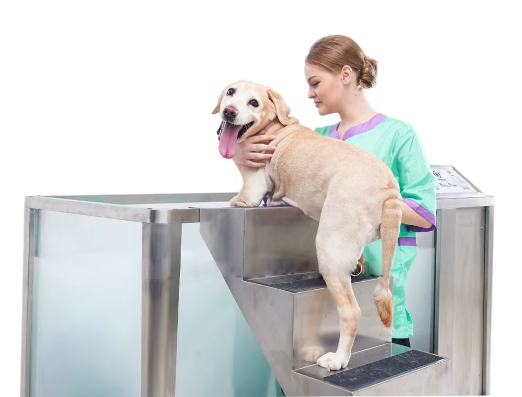 Premium Stainless Steel Pet Bathing Grooming Station - Ideal Dog Washing Solution for Home and Clinics