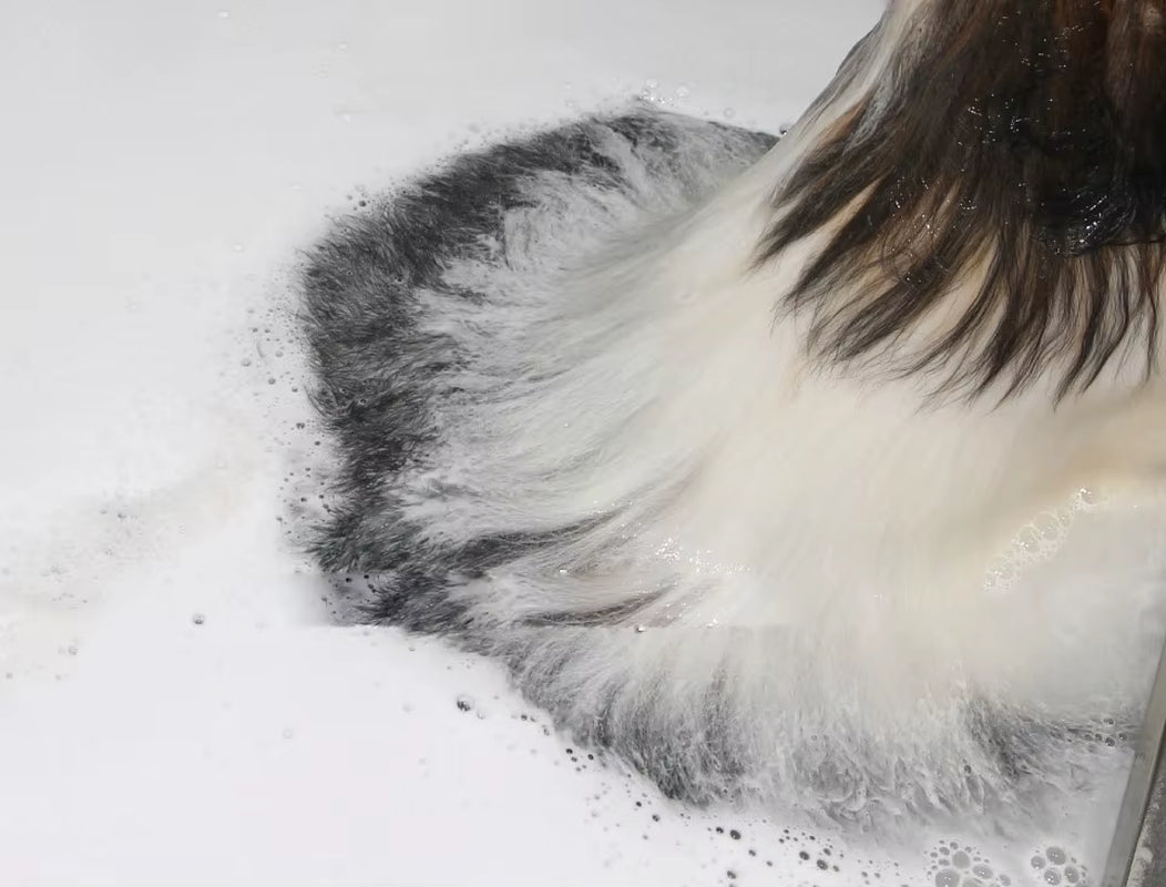 Premium Stainless Steel Pet Bathing Grooming Station - Ideal Dog Washing Solution for Home and Clinics