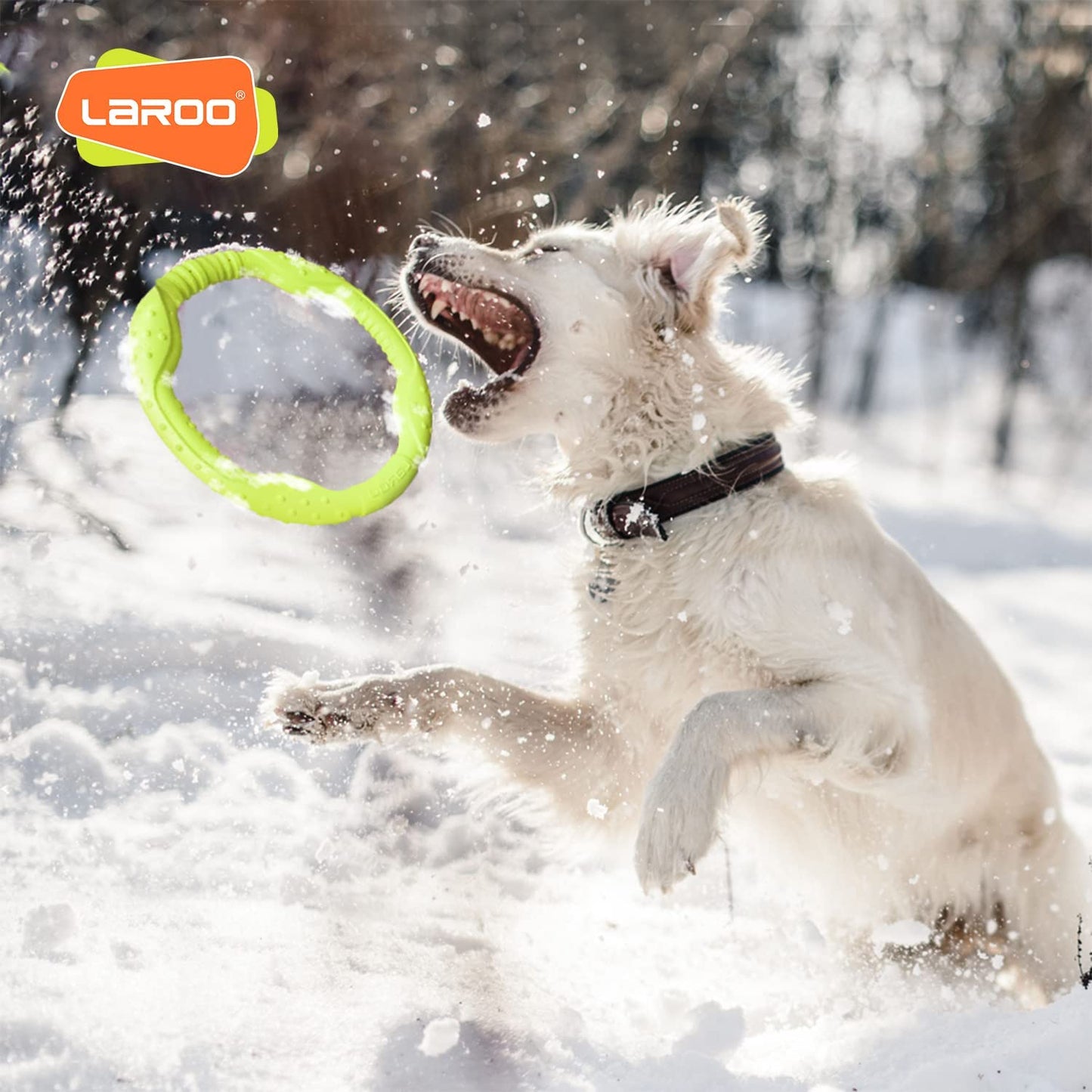 Durable Dog Flying Ring - Tough Chew-Proof Frisbee for Fetch, Water Play & Training | Lightweight Design for Medium/Large Aggressive Chewers (Green, 30cm)