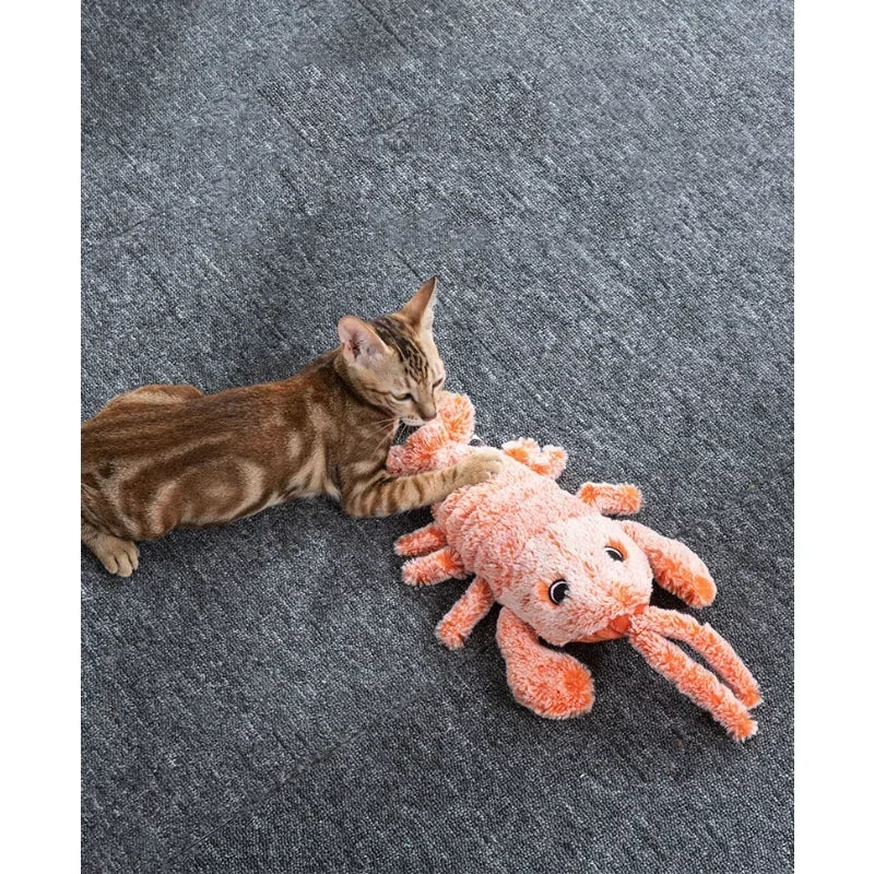Interactive USB Charging Electric Dancing Lobster Cat Toy - Perfect for Playful Pets!