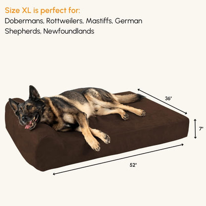 Extra Large Orthopedic Dog Bed - 7" Thick Soft Cushion with Washable Microsuede Cover - Made in USA - Chocolate Color