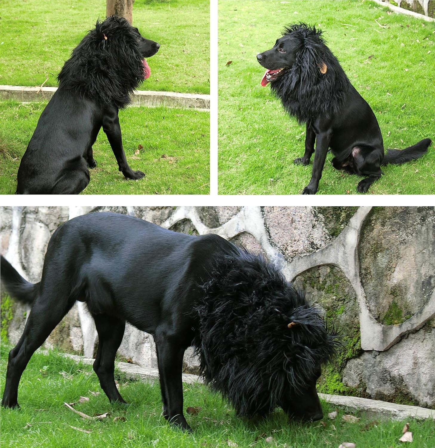 Adorable Lion Mane Wig for Dogs with Ears - Hilarious Pet Costume for Halloween & Christmas Fun!