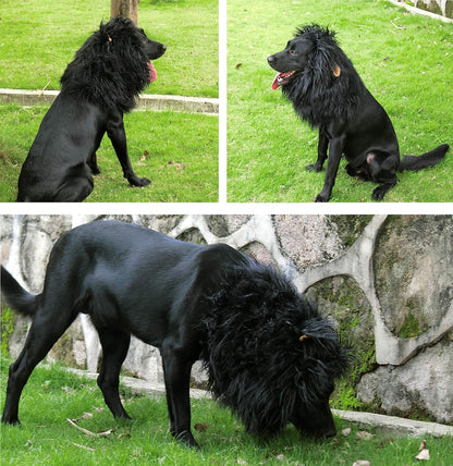 Adorable Lion Mane Wig for Dogs with Ears - Hilarious Pet Costume for Halloween & Christmas Fun!