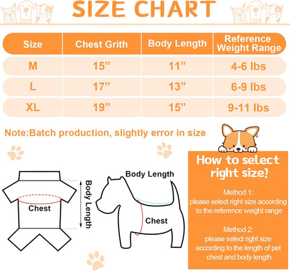 Adorable Lion & Tiger Costumes - 2 Pack Winter Sweaters for Small Dogs - Cozy Christmas Pet Coats (L Size)