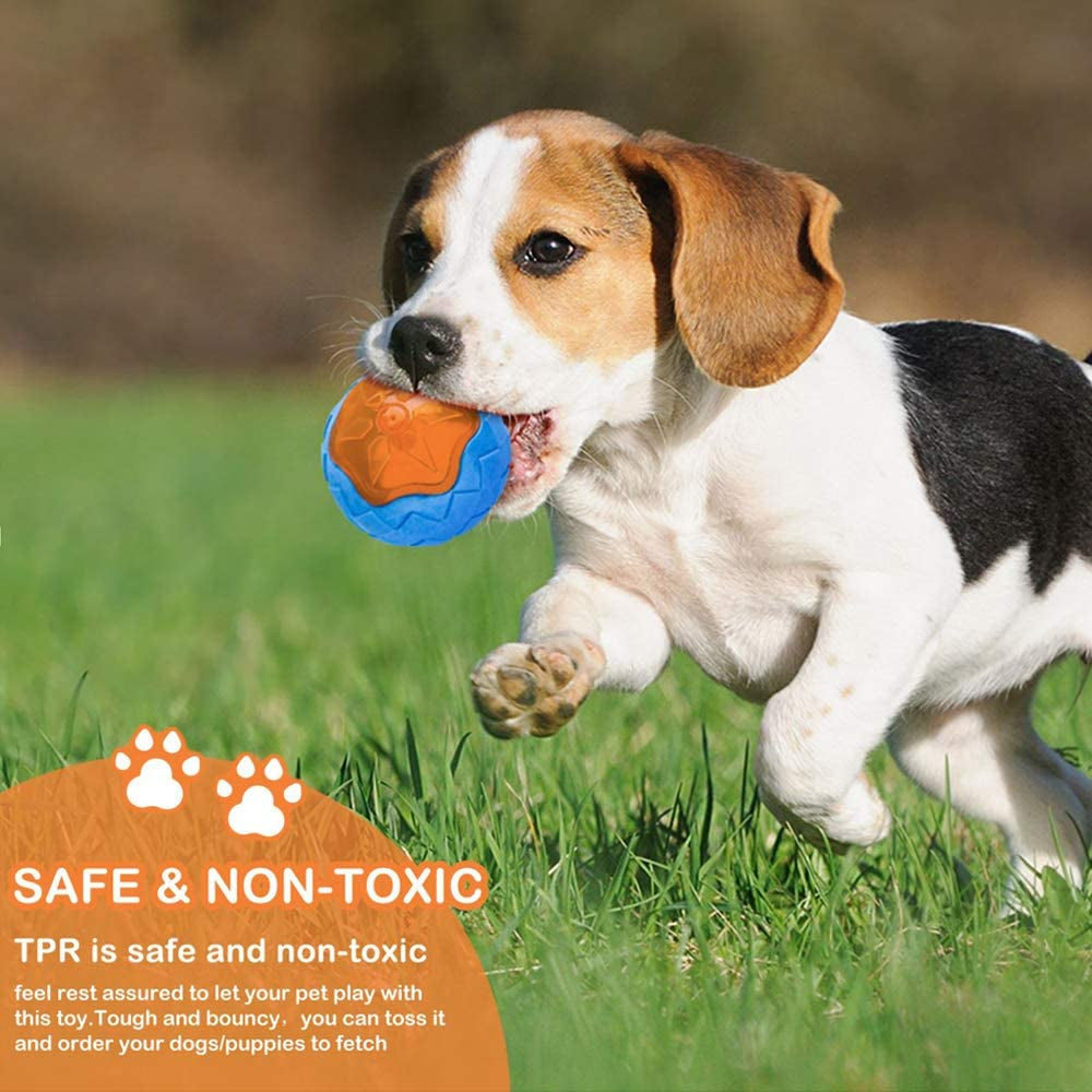 Ultimate Dog Squeaky Toy Set - 4 Fun Floating Pool Toys for Interactive Fetch & Beach Play!