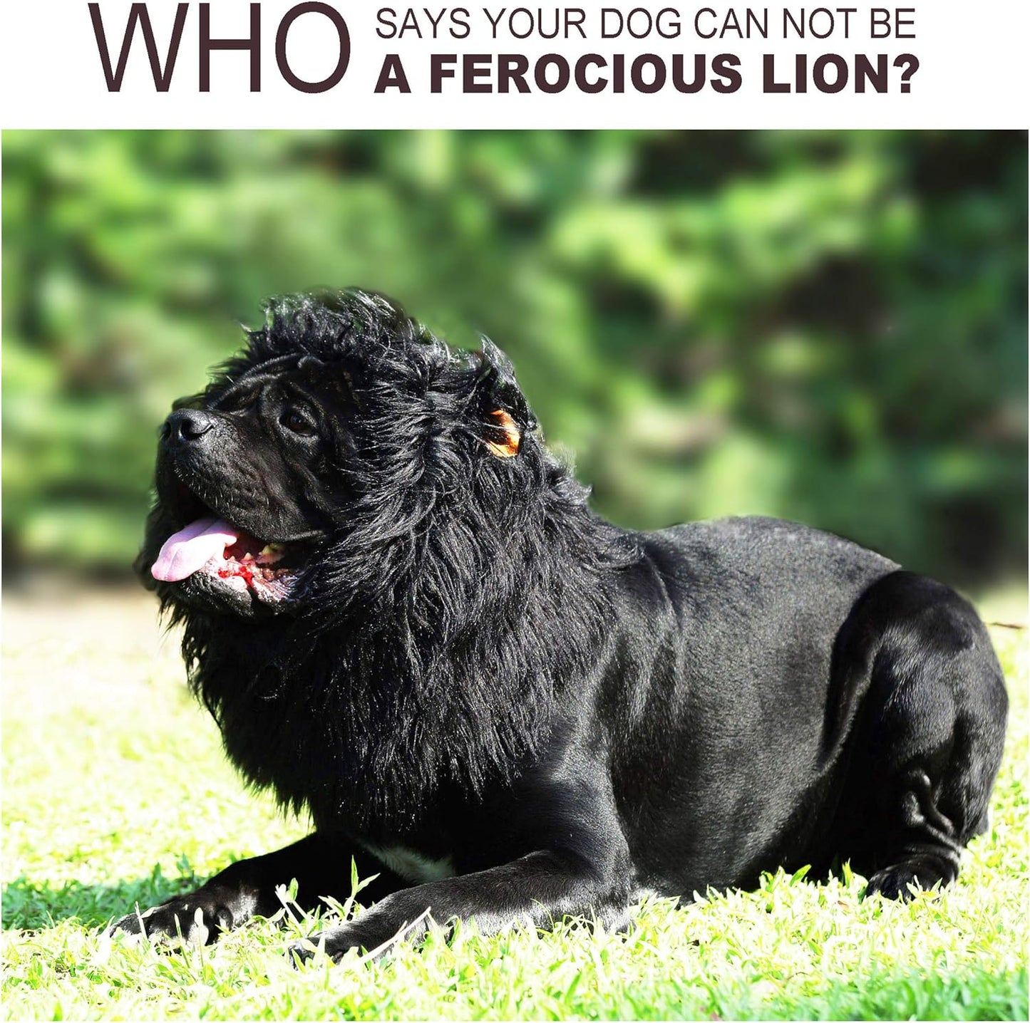 Adorable Lion Mane Wig for Dogs with Ears - Hilarious Pet Costume for Halloween & Christmas Fun!