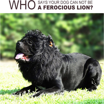 Adorable Lion Mane Wig for Dogs with Ears - Hilarious Pet Costume for Halloween & Christmas Fun!