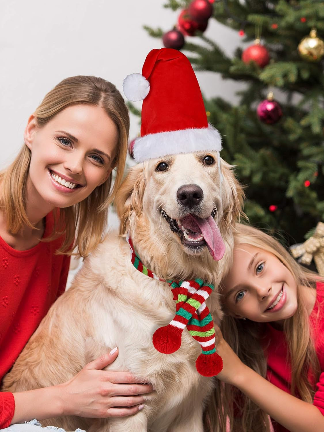 Festive 2-Piece Christmas Dog Santa Hat & Scarf Set - Adjustable Knit Outfit for Pets