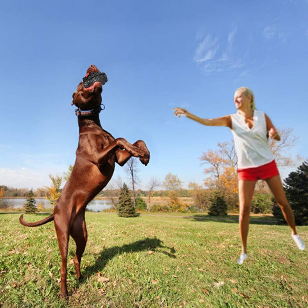 Indestructible Dog Chew Toys for Aggressive Chewers - Non-Toxic Dental Toy for All Sizes - Durable & Tough Black Design