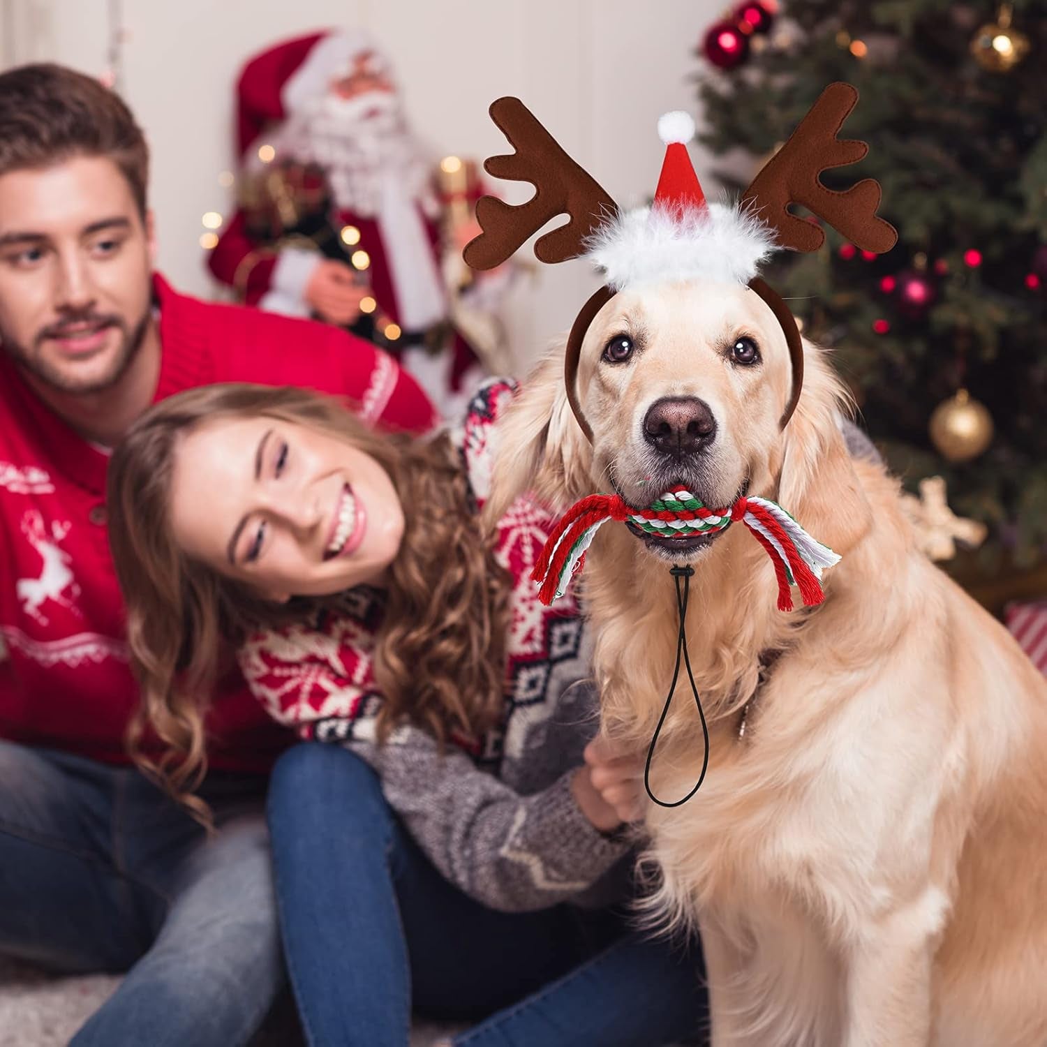 Festive 4-Pack Dog Costume Set: Reindeer Antlers, Christmas Scarf, Chew Toys & Candy Cane