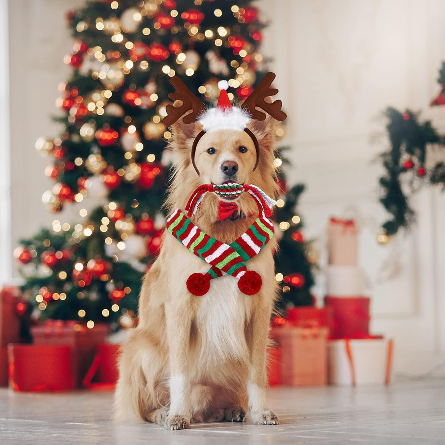 Festive 4-Pack Dog Costume Set: Reindeer Antlers, Christmas Scarf, Chew Toys & Candy Cane