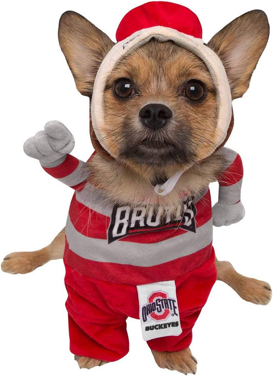 Ohio State University Brutus the Buckeye Dog Costume - Ideal for Halloween, Christmas, Parties, and Photoshoots! Perfect Gift for Dog Lovers!