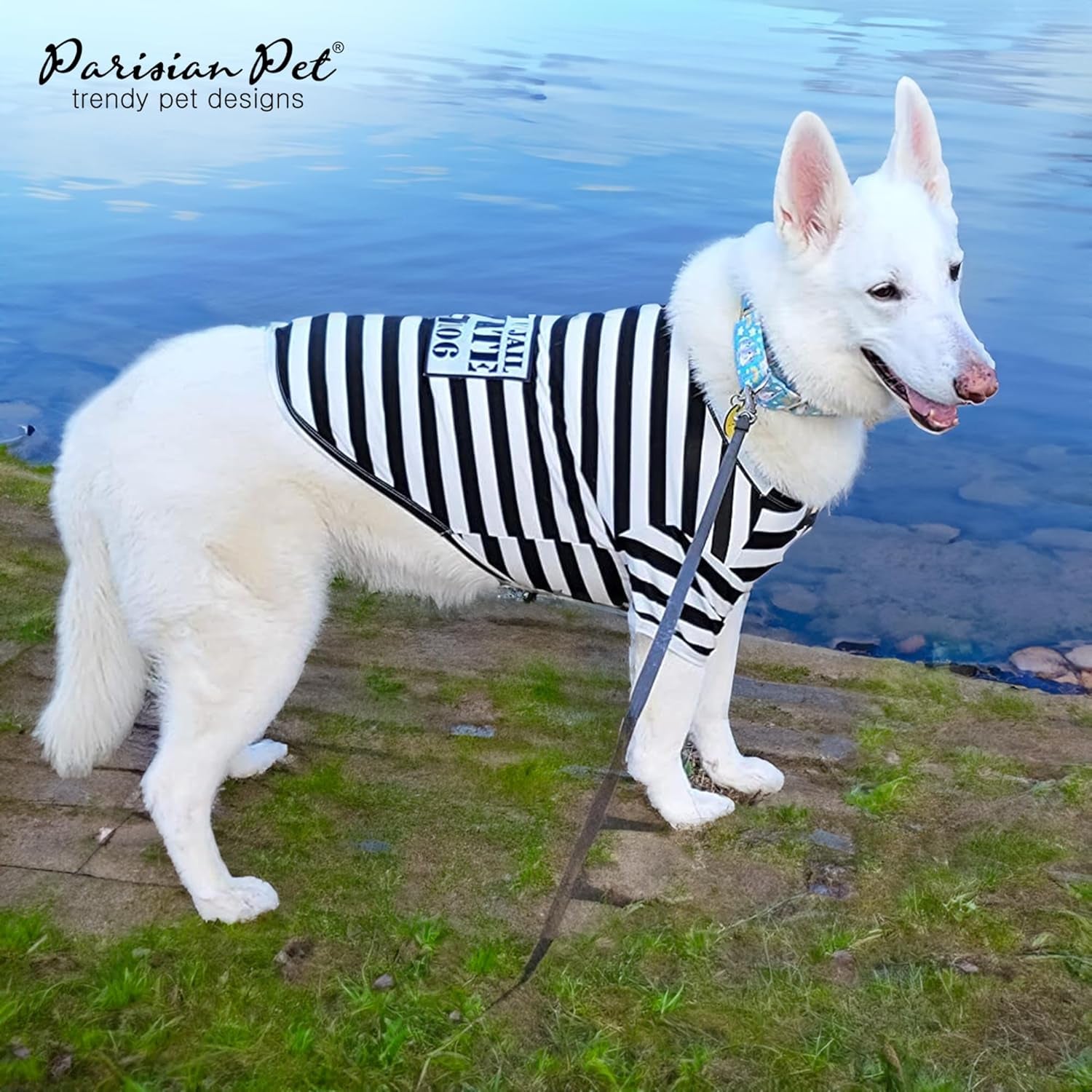 Adorable Prisoner Dog Halloween Costume - Stylish Black and White Striped Outfit for Medium Pets - Perfect Halloween Shirt for Dogs