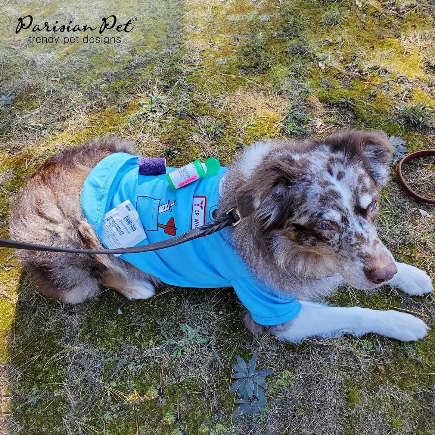 Adorable Doctor Dog Costume - Perfect Halloween Shirt for Pets - Stylish Sleeved T-Shirt for Dogs and Cats - Size L
