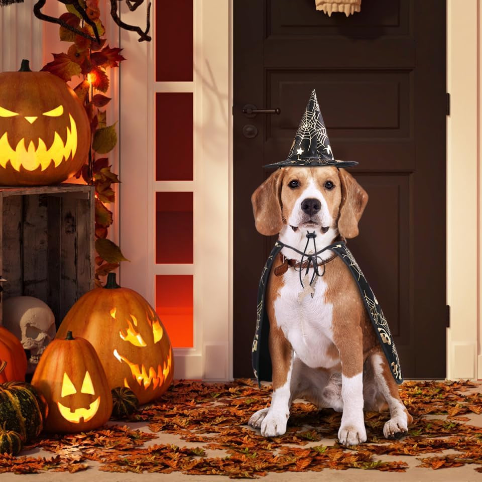 Adorable Pet Show Costume Cape and Hat for Dogs - Perfect for Halloween, Parties, and Everyday Fun!