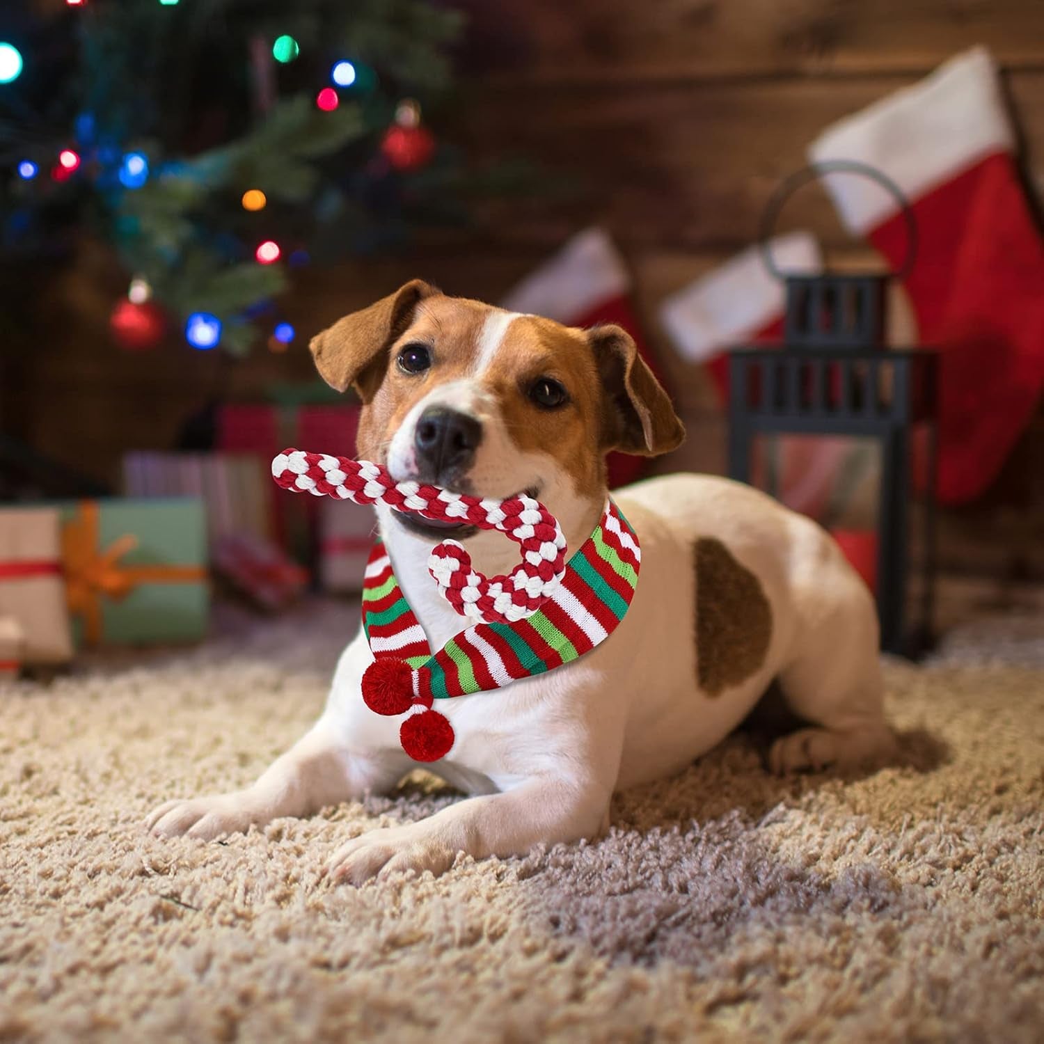 Festive 4-Pack Dog Costume Set: Reindeer Antlers, Christmas Scarf, Chew Toys & Candy Cane