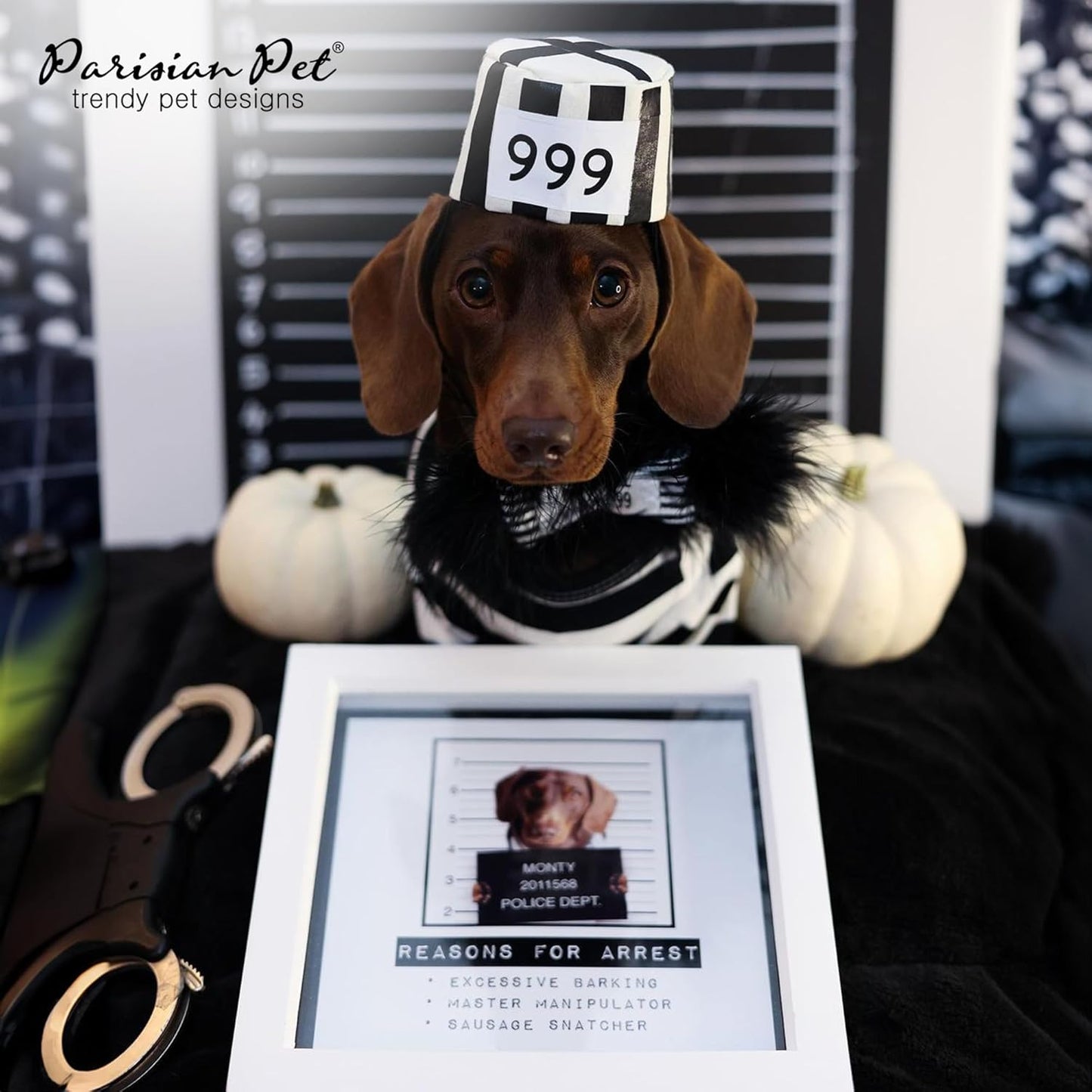 Adorable Prisoner Dog Halloween Costume - Stylish Black and White Striped Outfit for Medium Pets - Perfect Halloween Shirt for Dogs